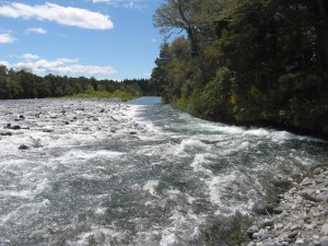 IMG_1633
