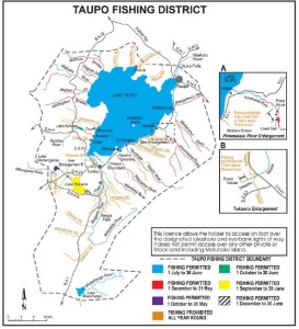 1475911_506987299333501_1699467016_n