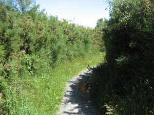 IMG_1789
