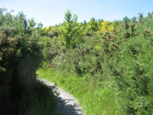 IMG_1790