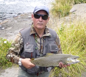 Scott Collins brown Upper Birch