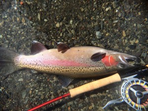 11999749_1002070929825078_3012811770018158890_o