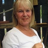 Carol Harwood Turangi Bird Rescue