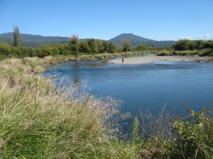 Downs Pool 25
