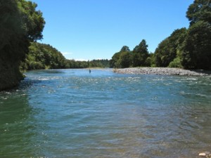 looking-down-kamahi-pool.jpg-nggid044793-ngg0dyn-660x440x100-00f0w010c010r110f110r010t010