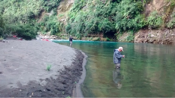 Fishon
