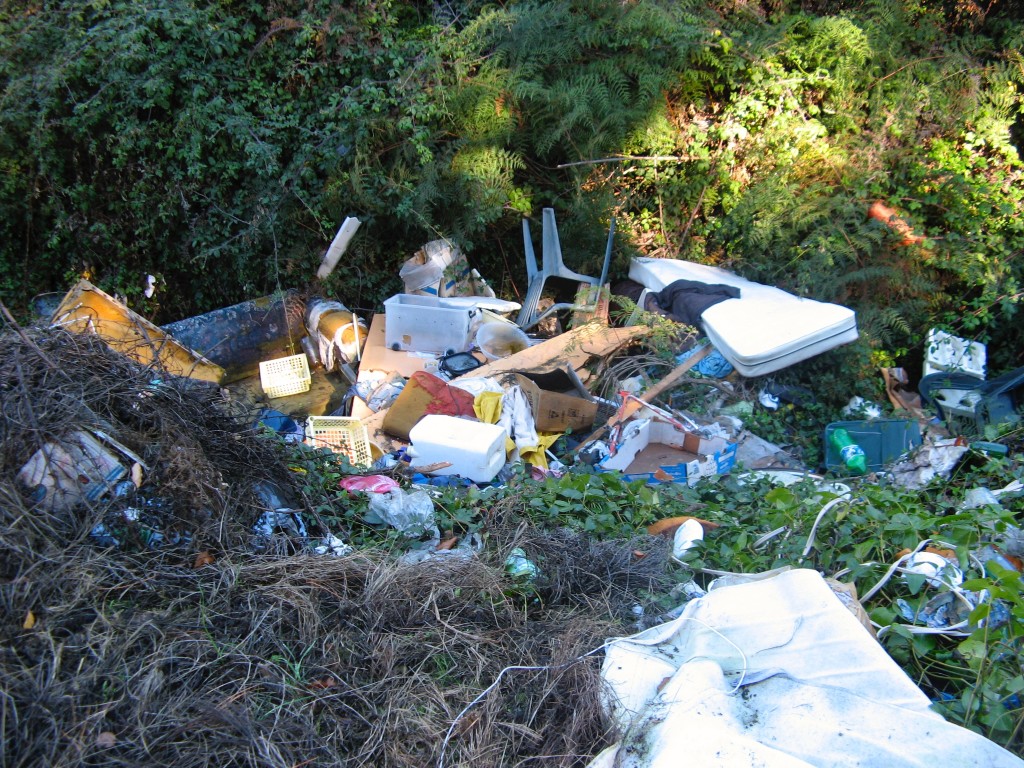 Waitahanui rubbish tip