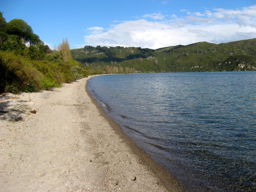 IMG_9246