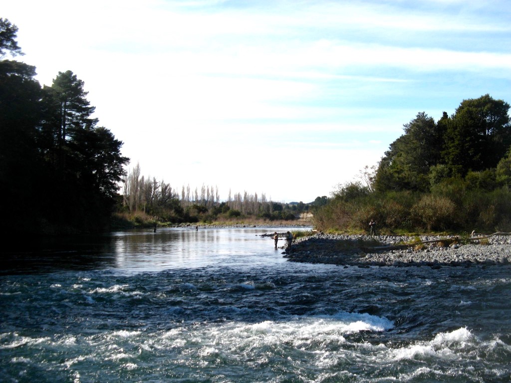 Cattle Rustlers Pool 01