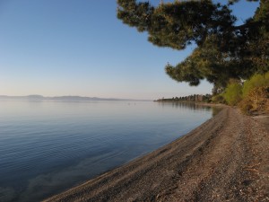 Lake Taupo - 3