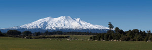 Ruapehu