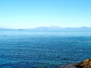 Whakamoenga Point walk 03