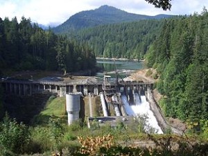 310px-Elwha_Dam_under_deconstruction