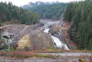 347px-Elwha_dam_remnants