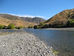 IMG_0321