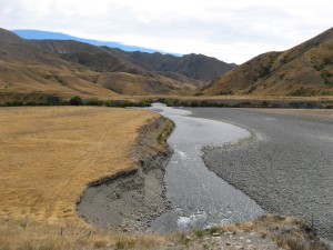 IMG_0330