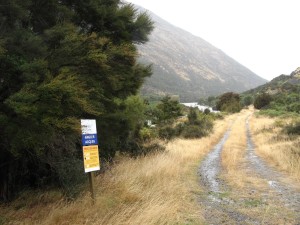 IMG_0389