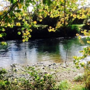 Courtney place bustop