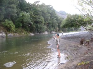 IMG_8201