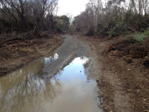 New bulldozed access