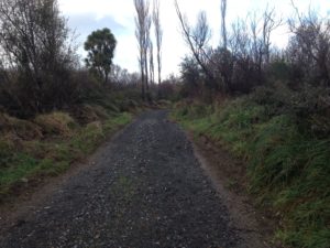 New track from end of Graces Road