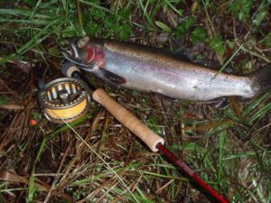 13502770_1167900879908748_8679207732288883334_o