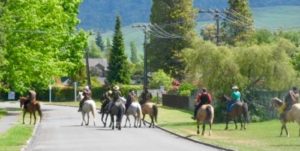 Turangi traffic jam