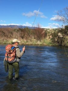 13882486_1150673925007673_5831318333245114619_n