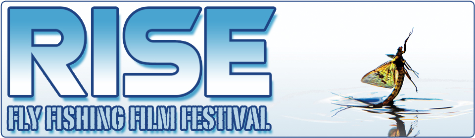 rise_banner_euro_2012