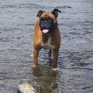 photo-by-toby-george-4