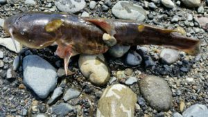 2016-11-16-16-56-41_resized_1