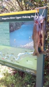 img_20161109_163743932