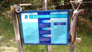 img_20161110_165406459