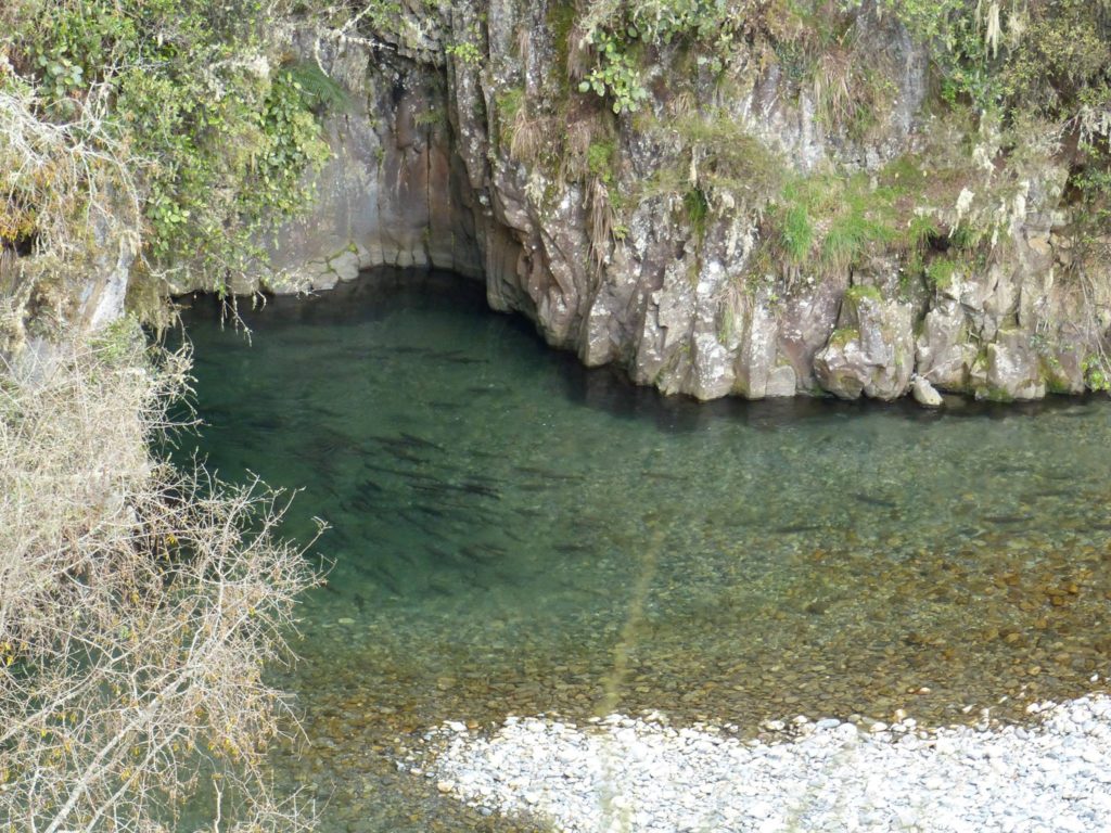 whitikau-stream-at-the-grotto