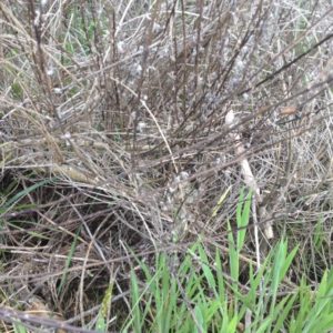 i-spy-with-my-little-eye