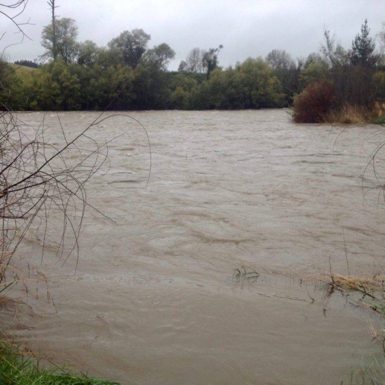 Wading perils… Tongariro River Motel