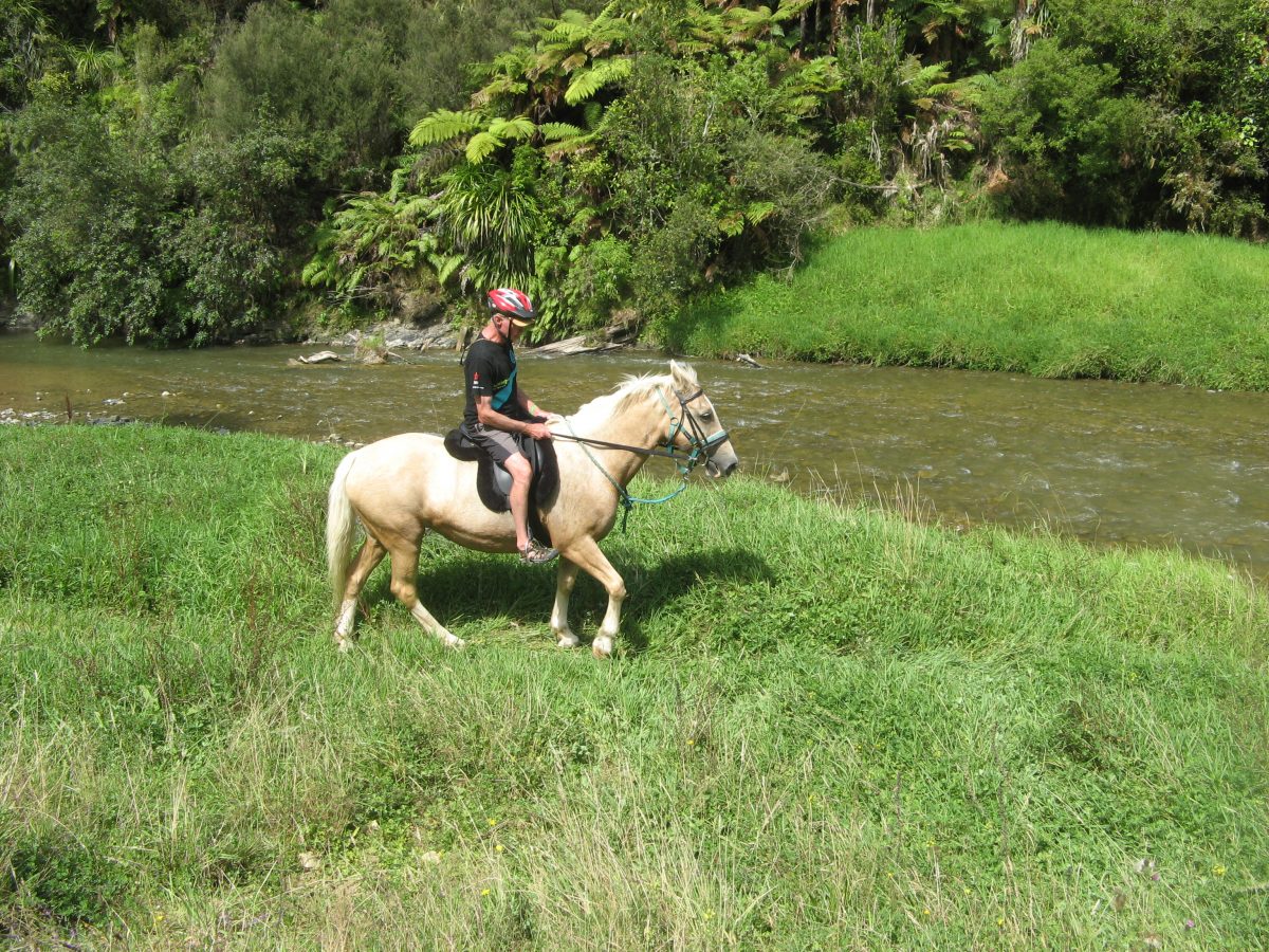 A unique fly fishing & horse trek experience… Tongariro River Motel