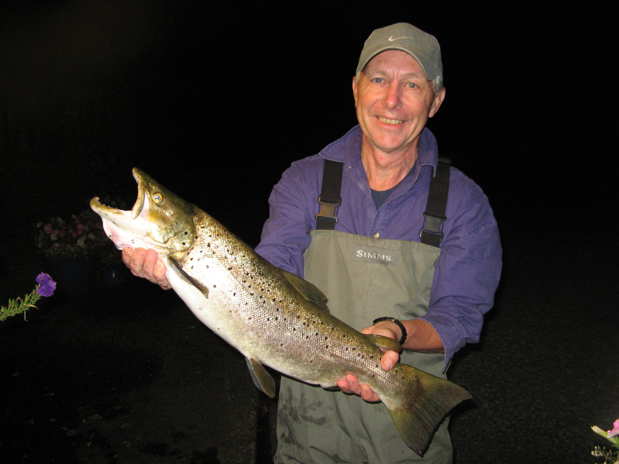 Taupo trout Harvest or Catch & Release? Tongariro River Motel